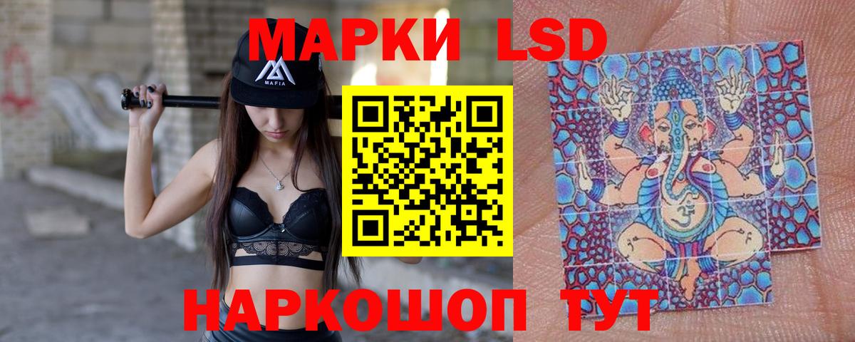 ГАШ Курчалой